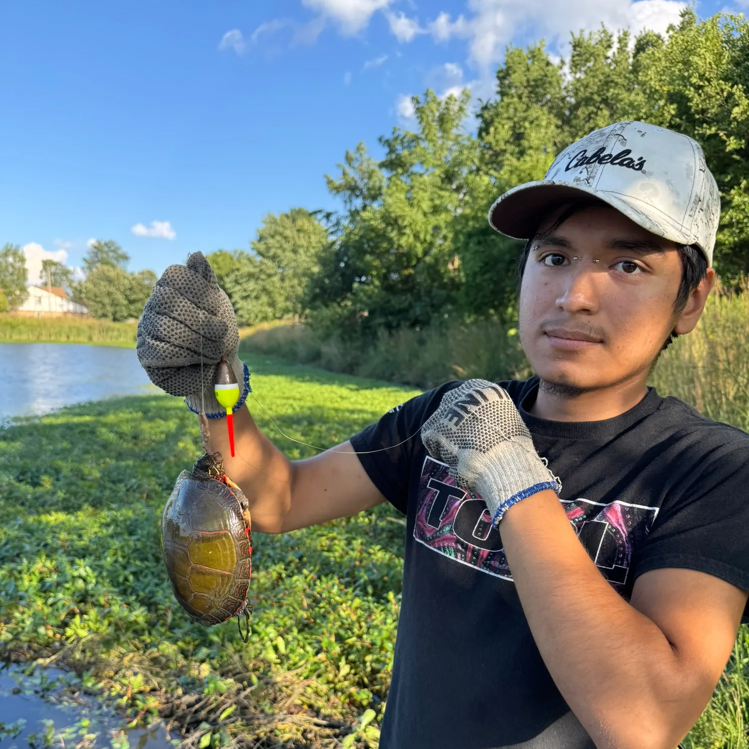 Pond slider turtle caught on Fishbrain