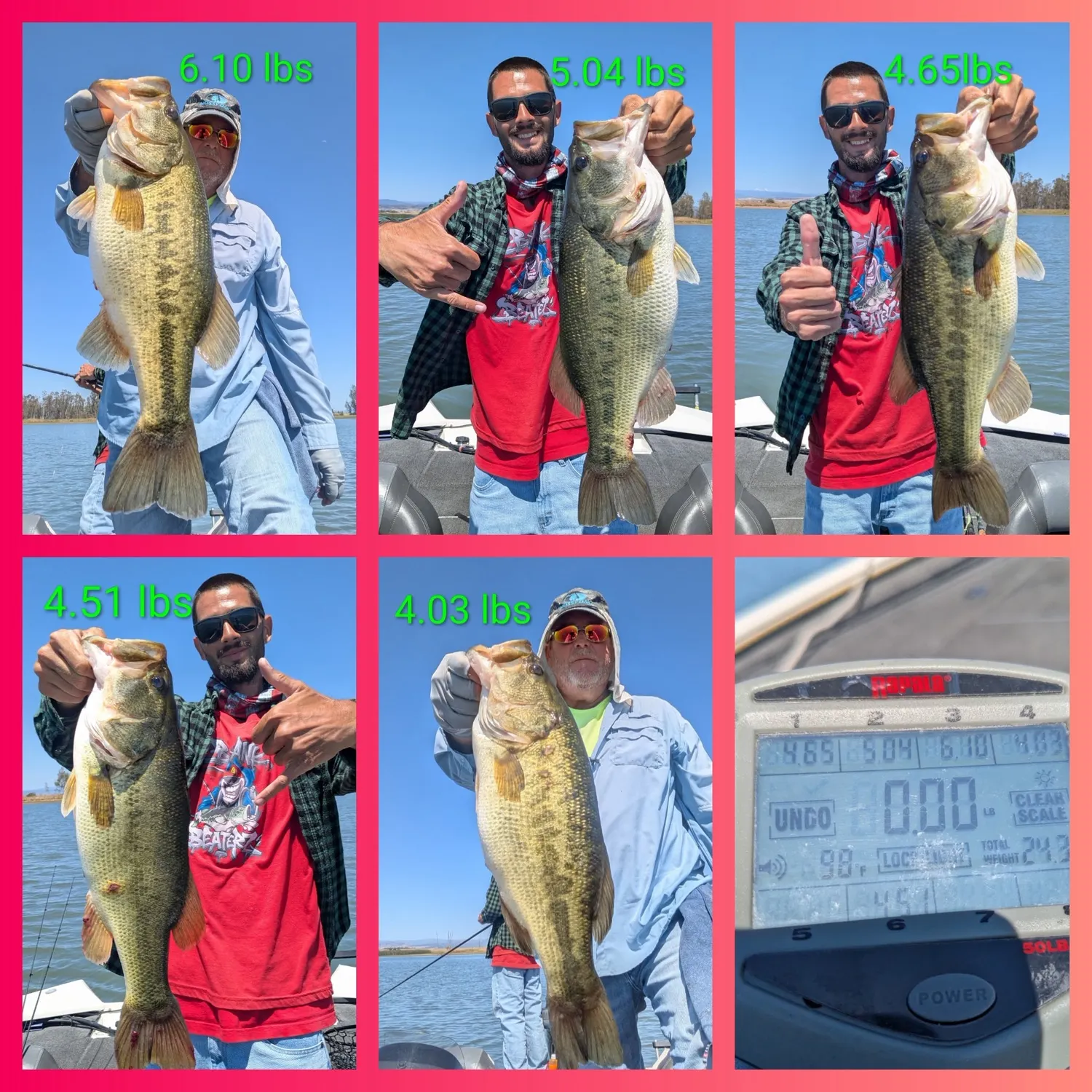 recently logged catches
