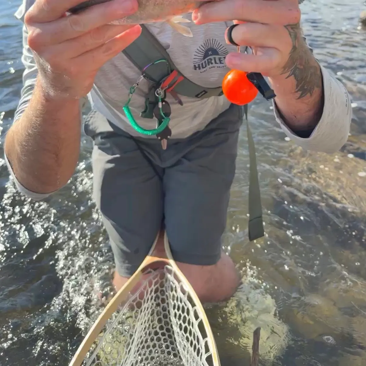 catch