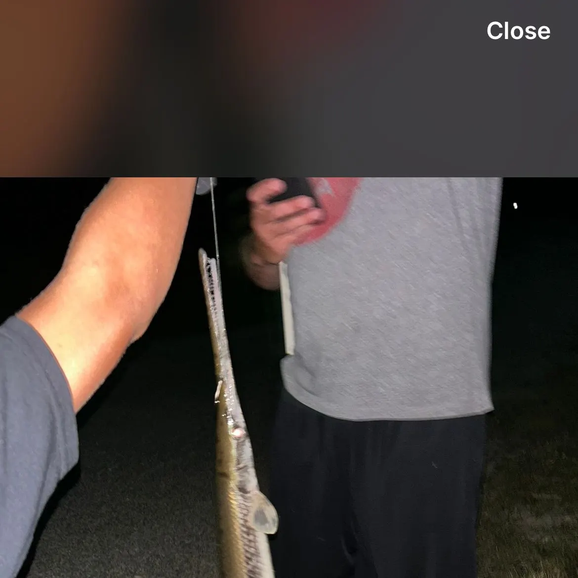 The most recent Longnose gar catches on Fishbrain