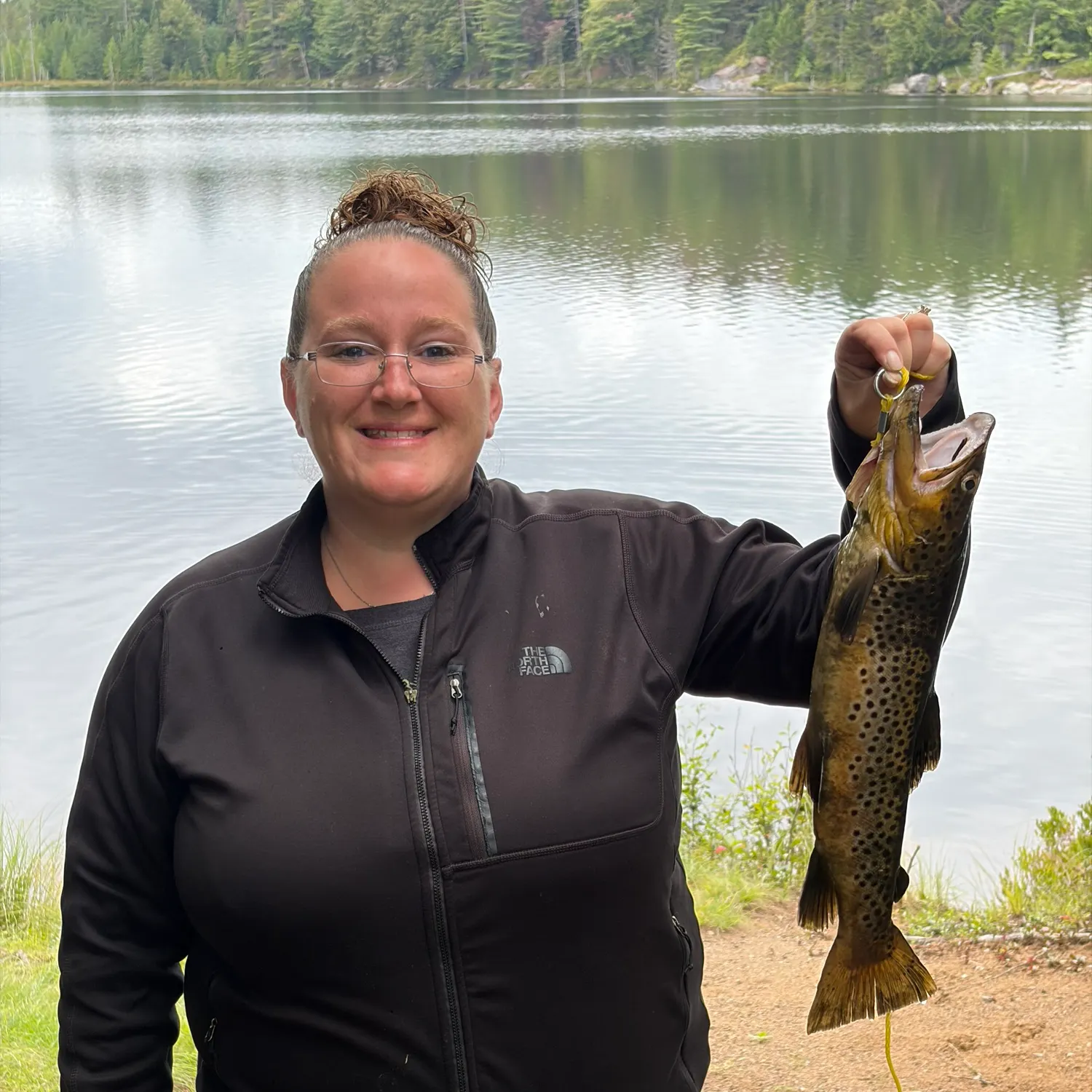 Brown trout caught on Fishbrain