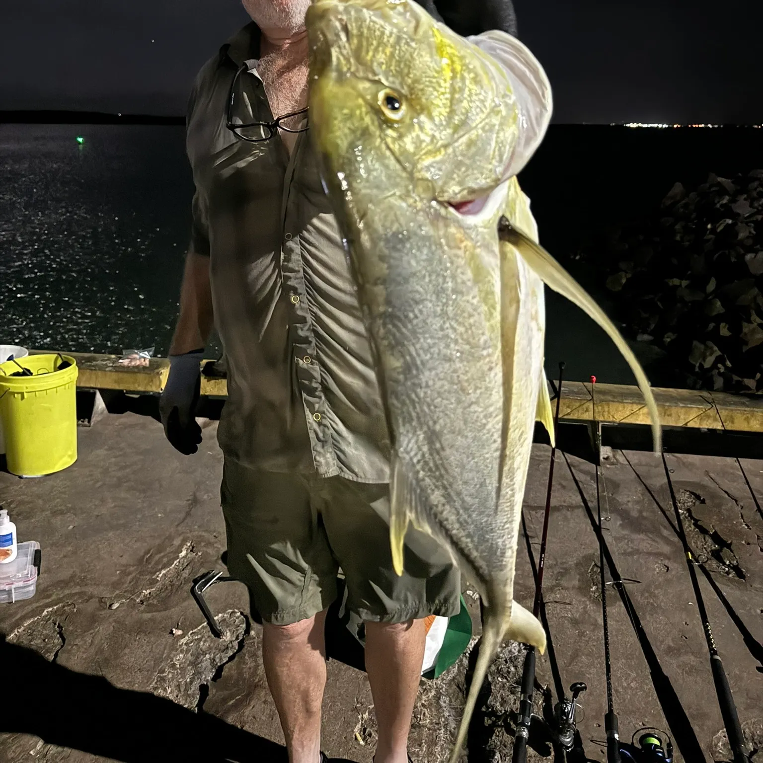 The most recent Golden trevally catches on Fishbrain