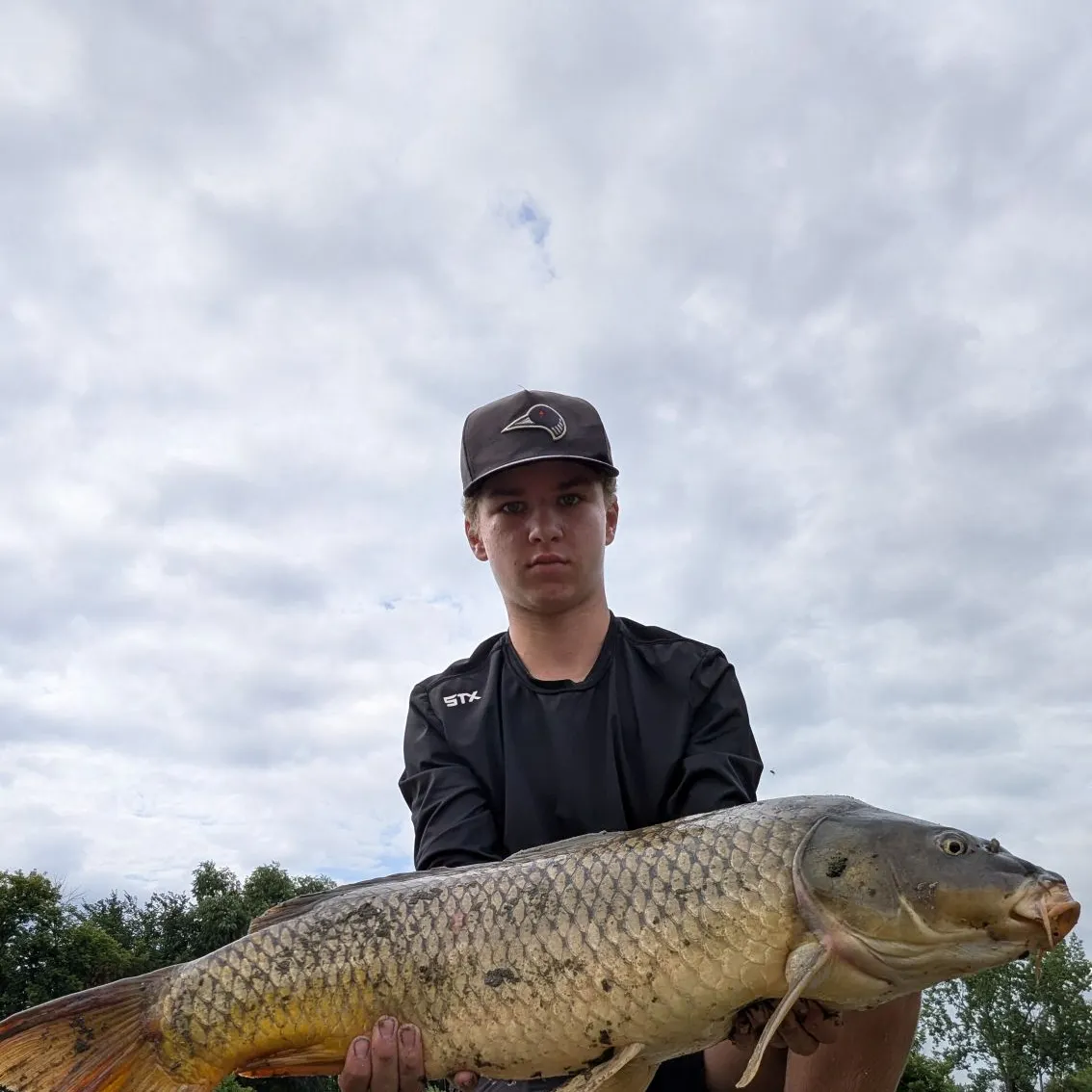 Common carp caught on Fishbrain
