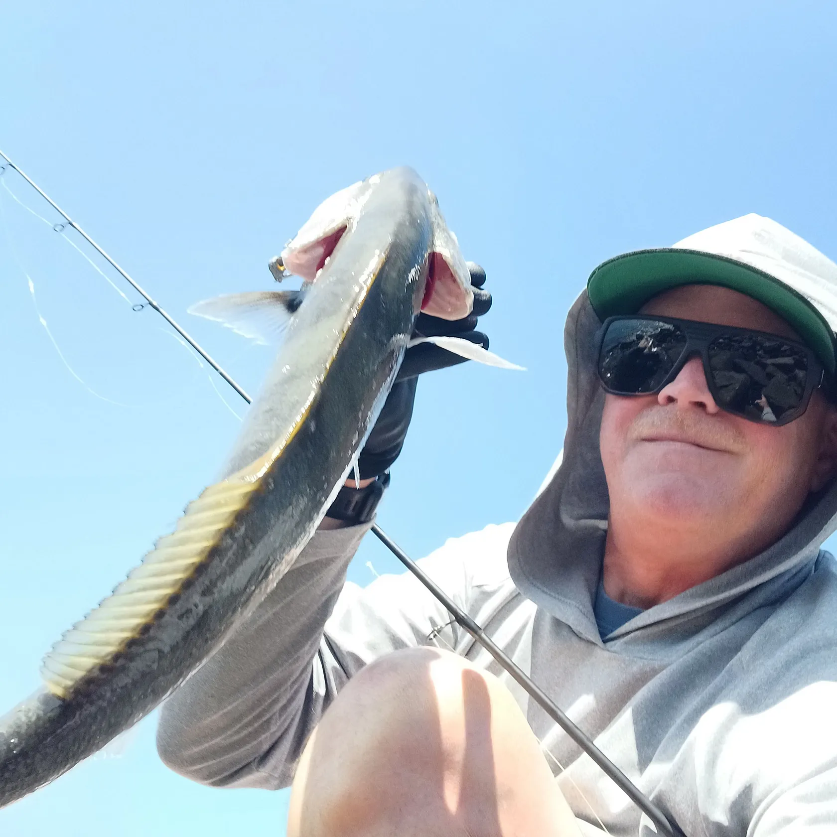 The most recent California corbina catches on Fishbrain