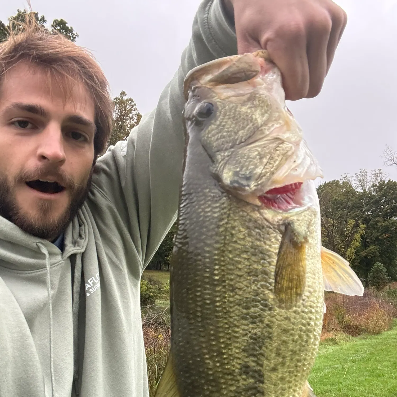 Largemouth bass caught on Fishbrain