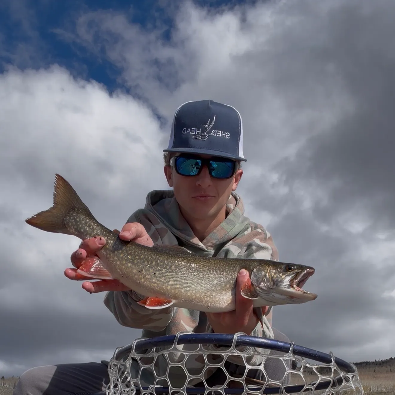 Splake caught on Fishbrain