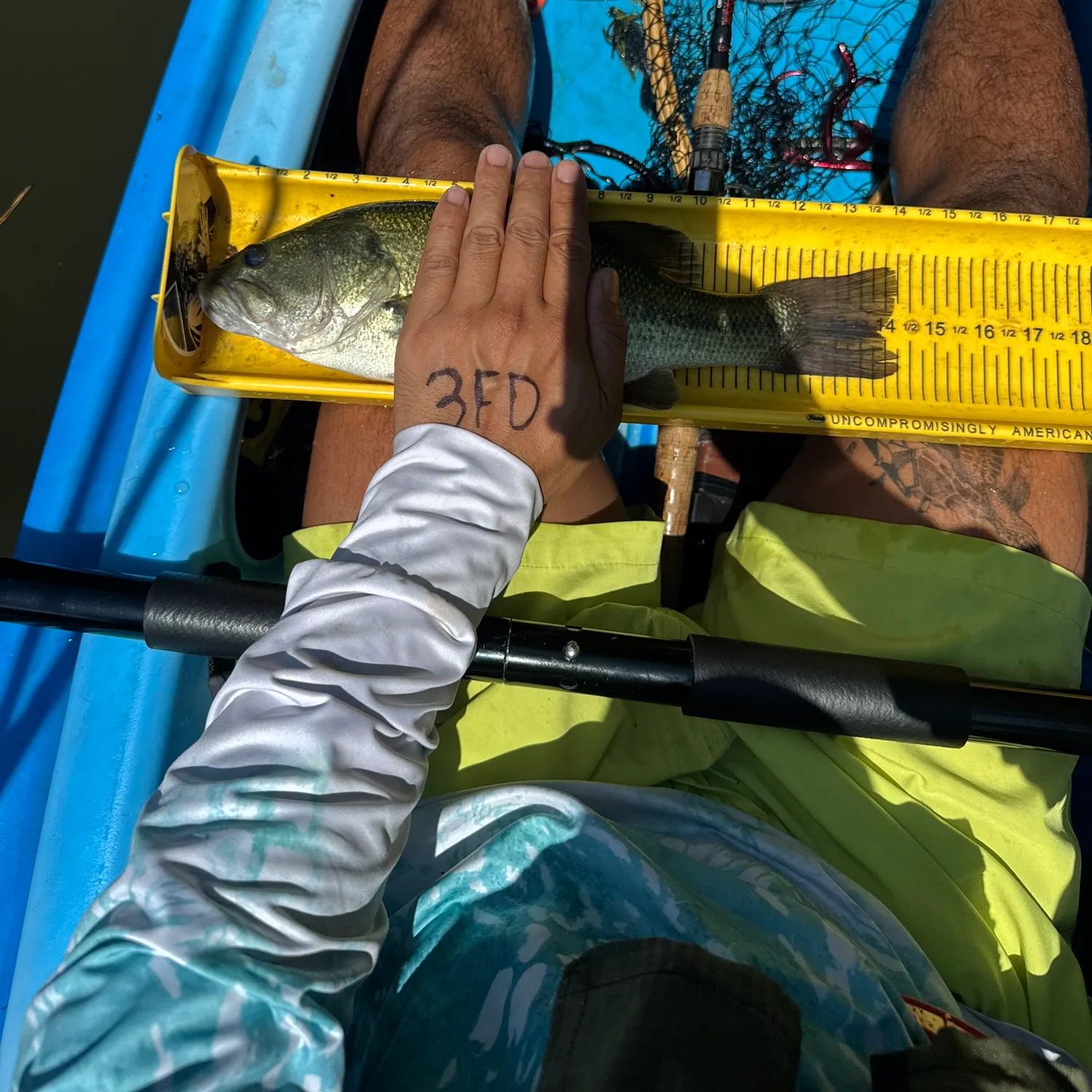 Largemouth bass caught on Fishbrain