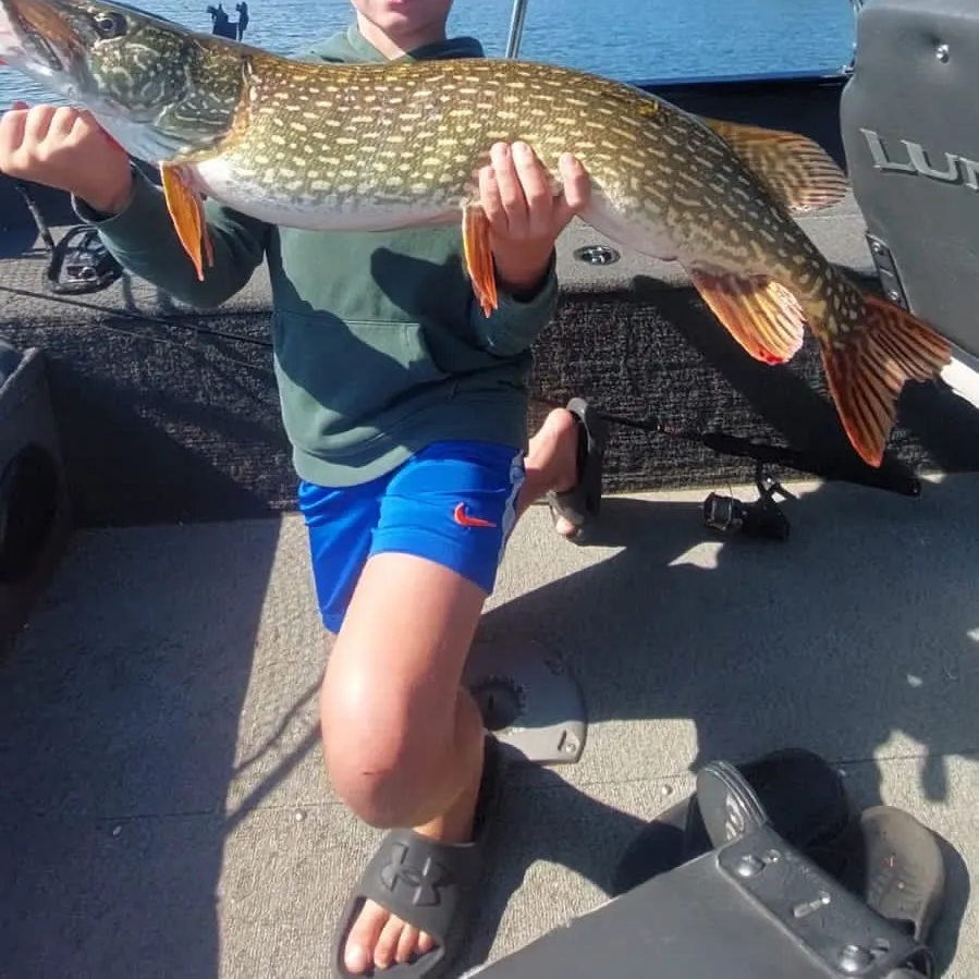 Fish caught on Fishbrain