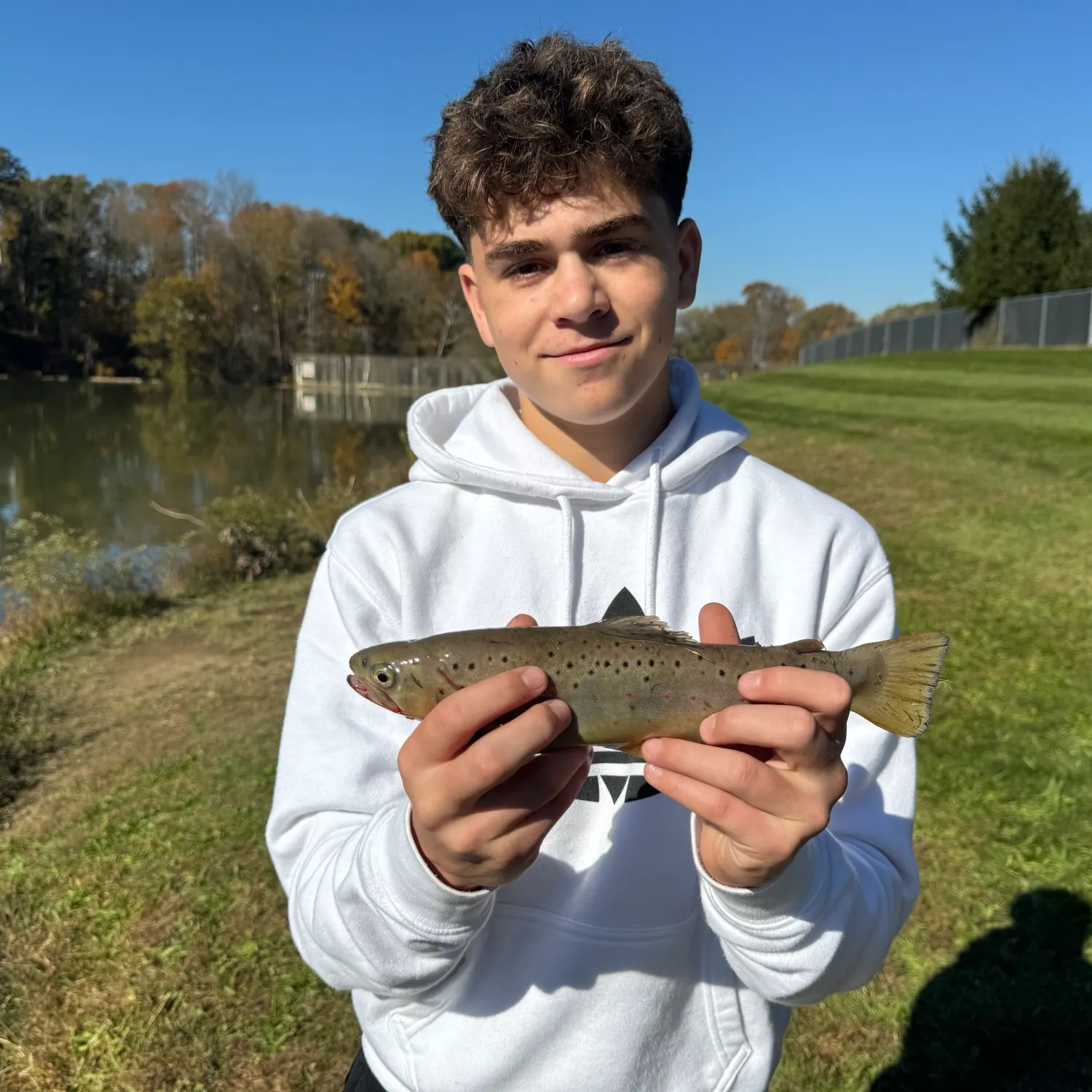 Brown trout caught on Fishbrain