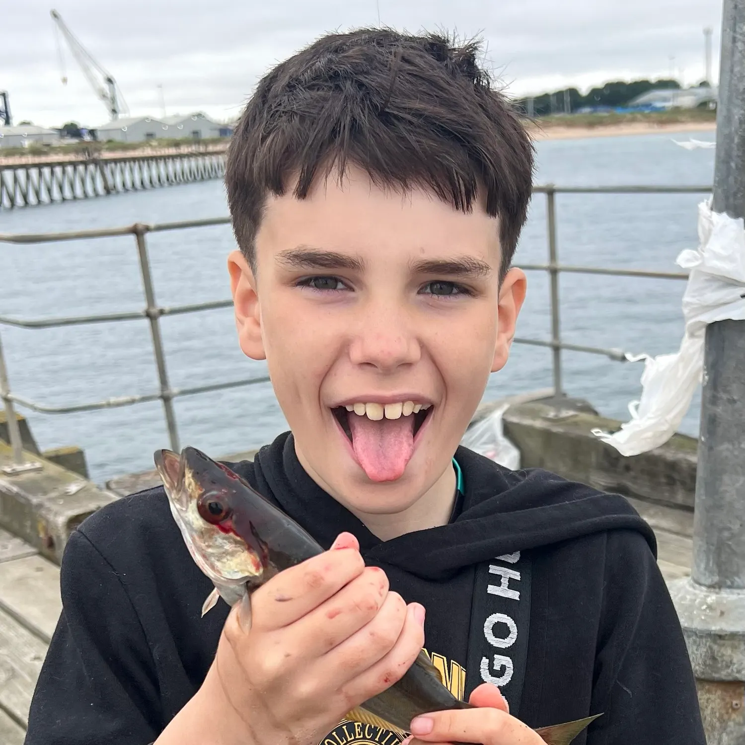 The most recent Alaska pollock catches on Fishbrain