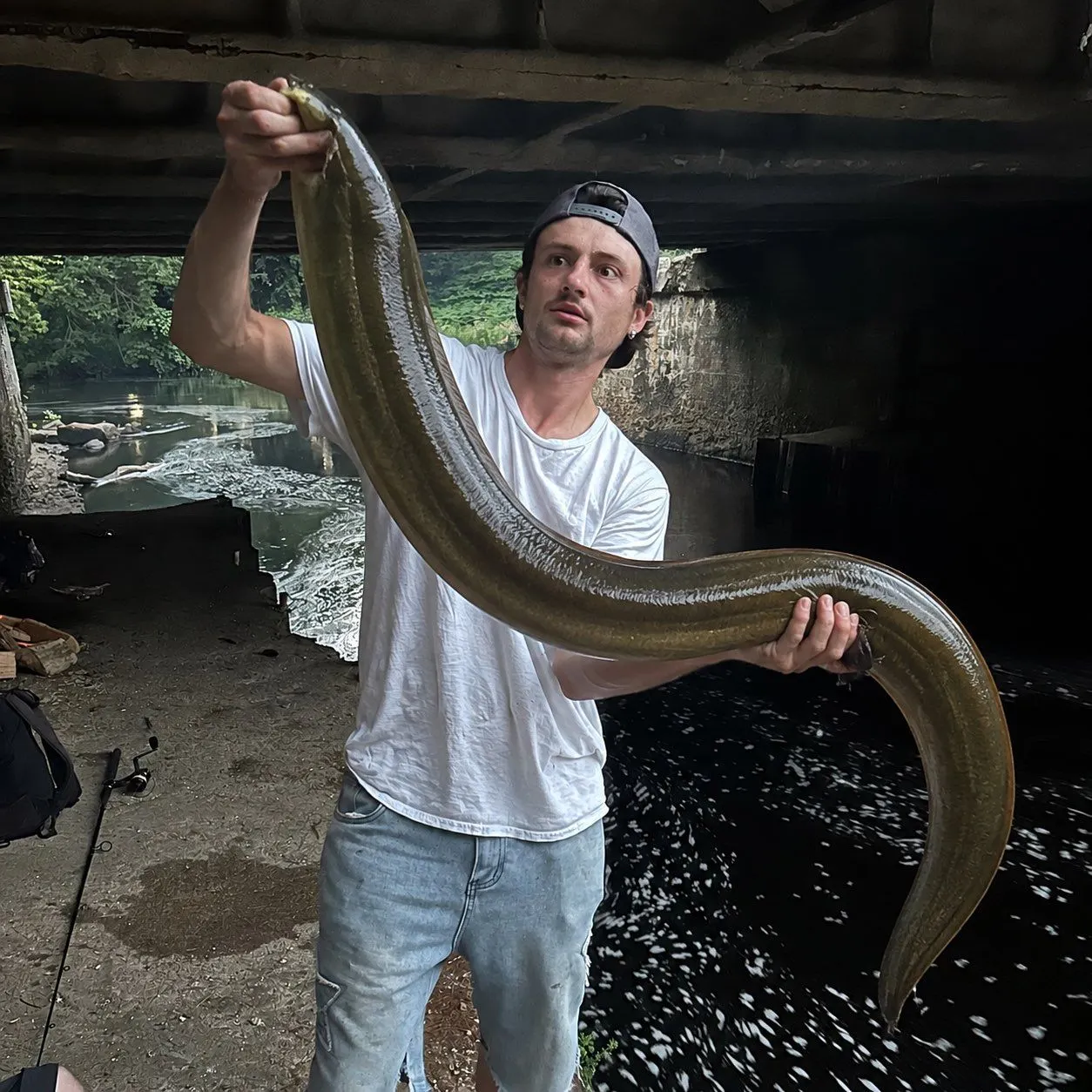 American eel caught on Fishbrain