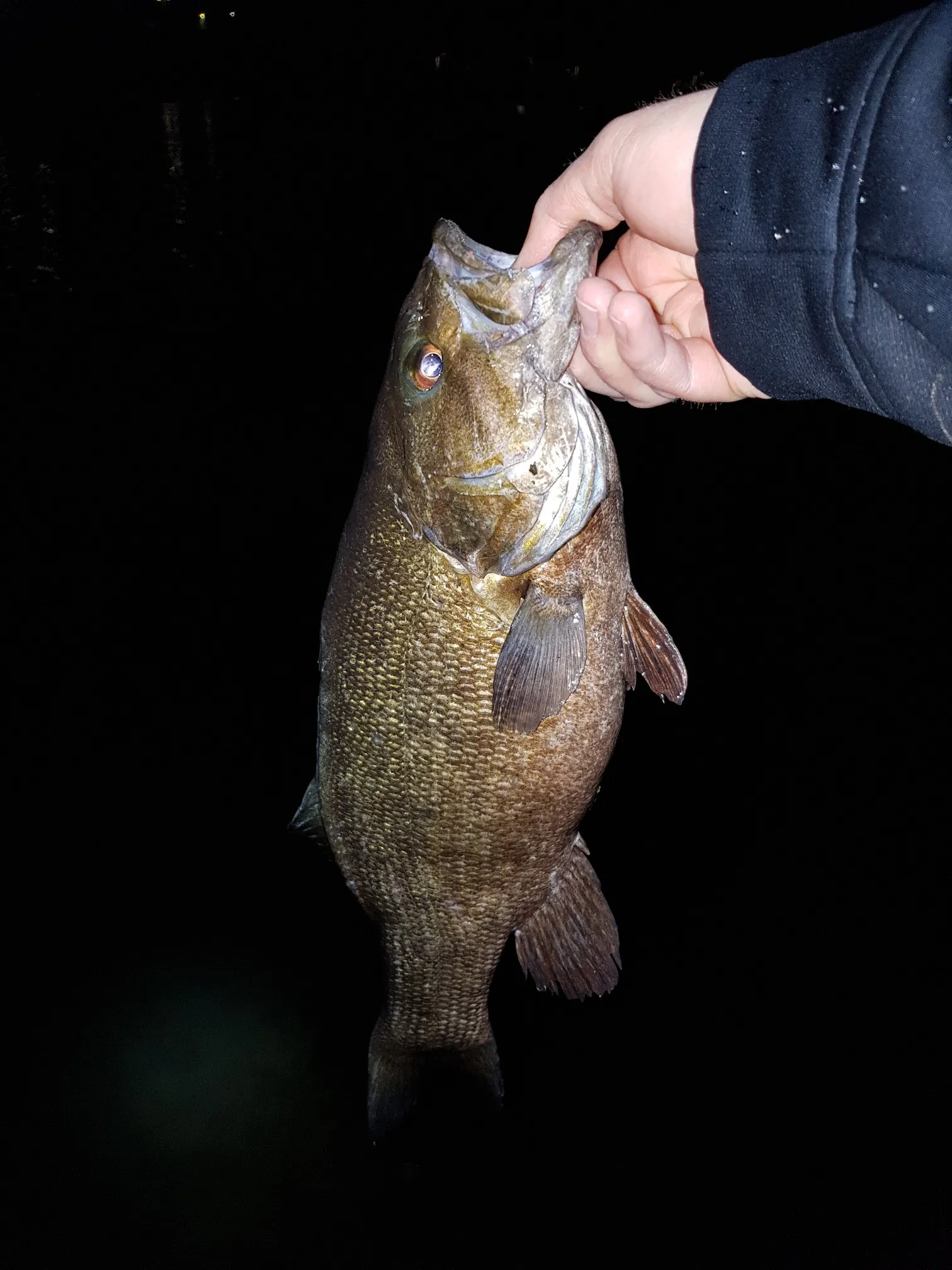 Post image from Mad-Mike