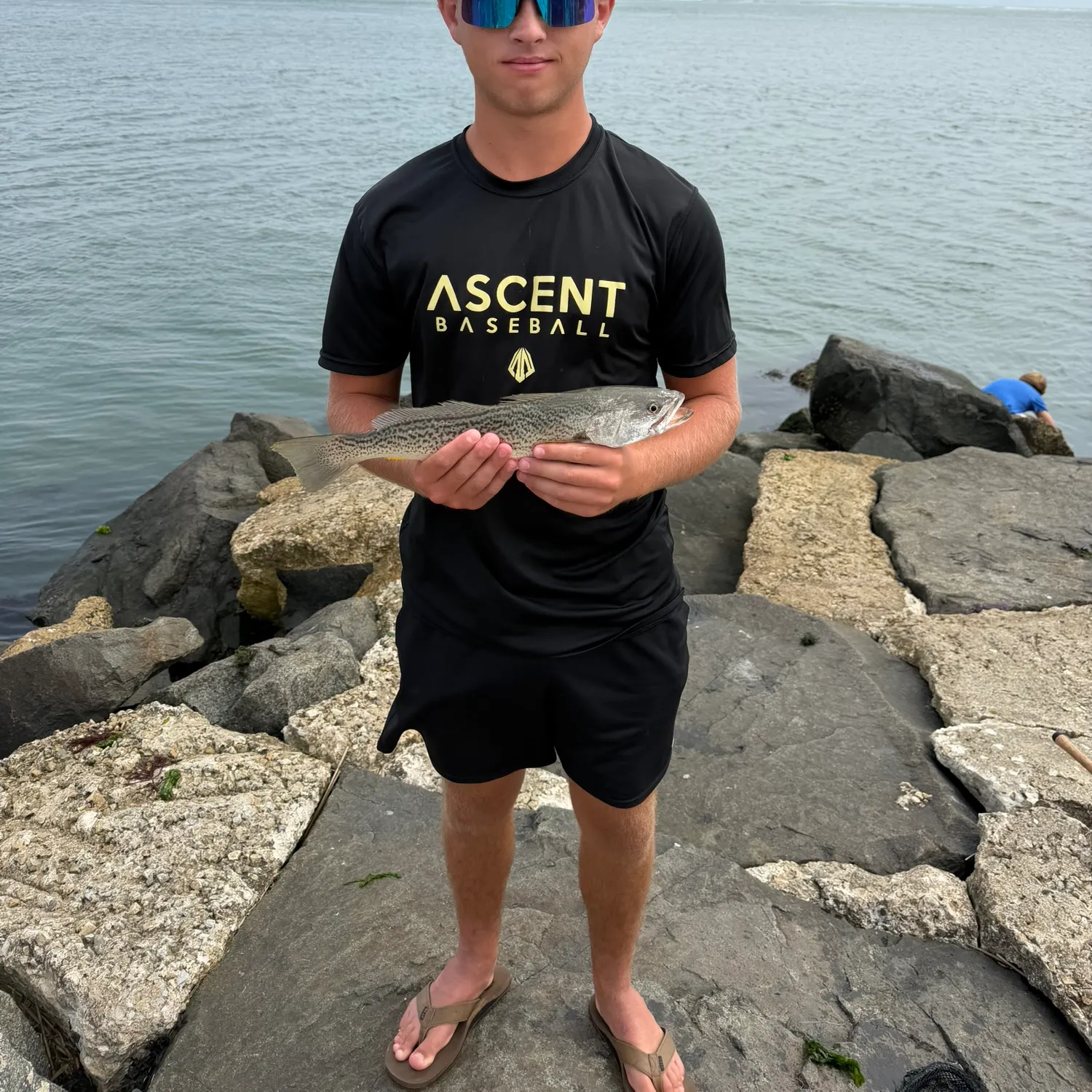 The most recent Gray weakfish catches on Fishbrain