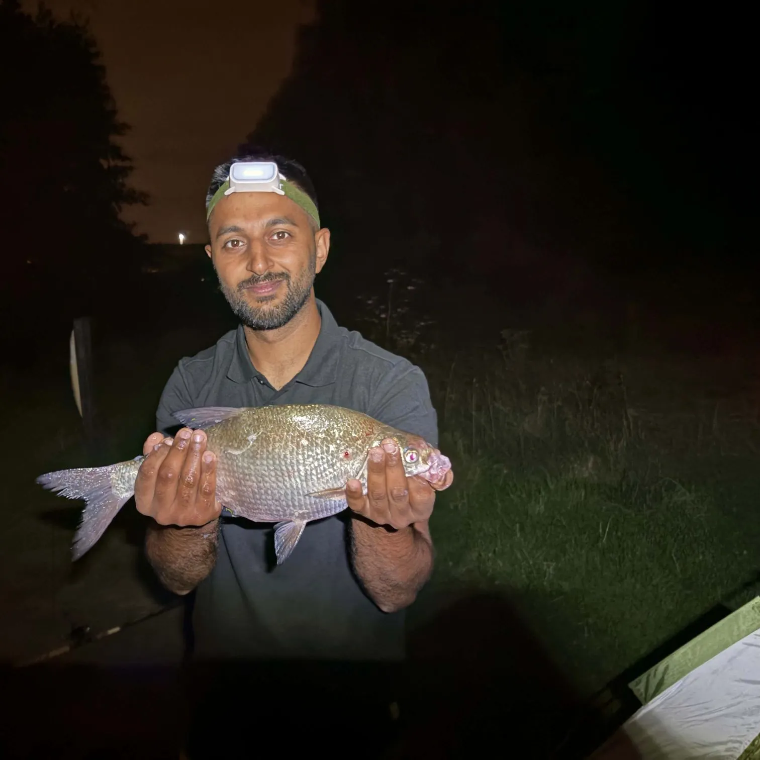 Common bream caught on Fishbrain