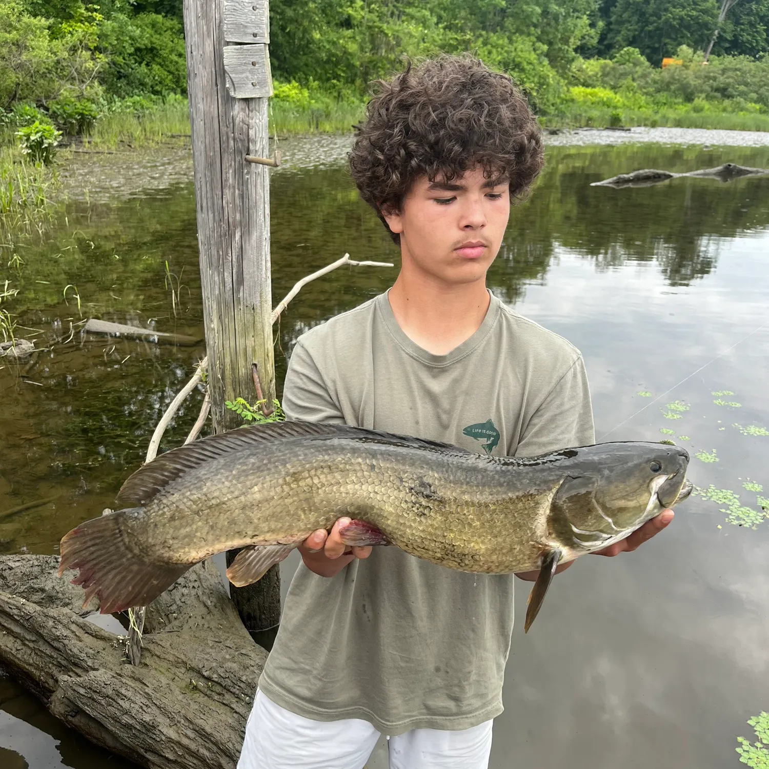 recently logged catches