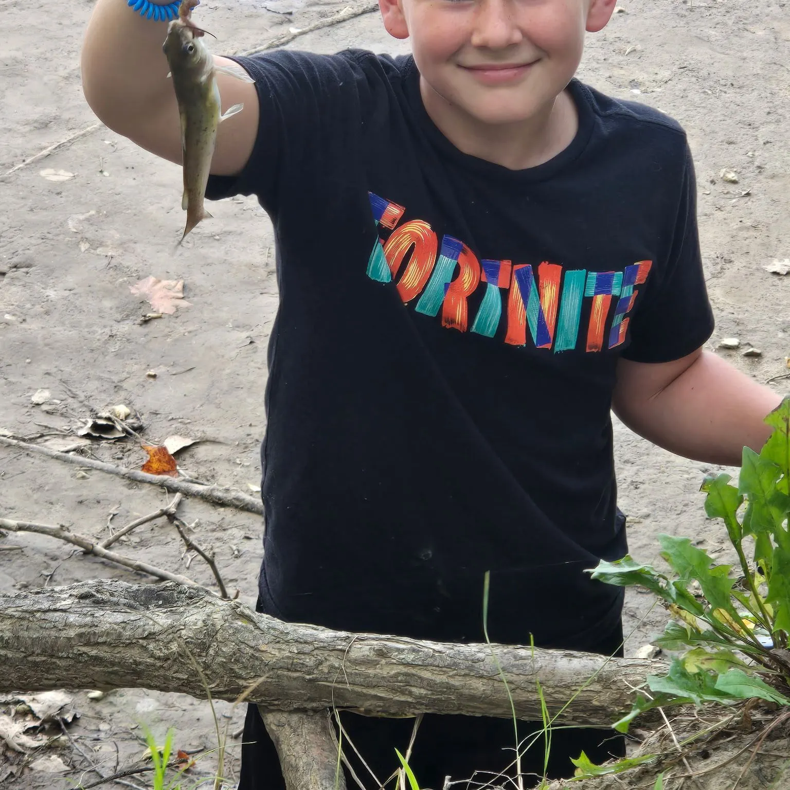 Channel catfish caught on Fishbrain