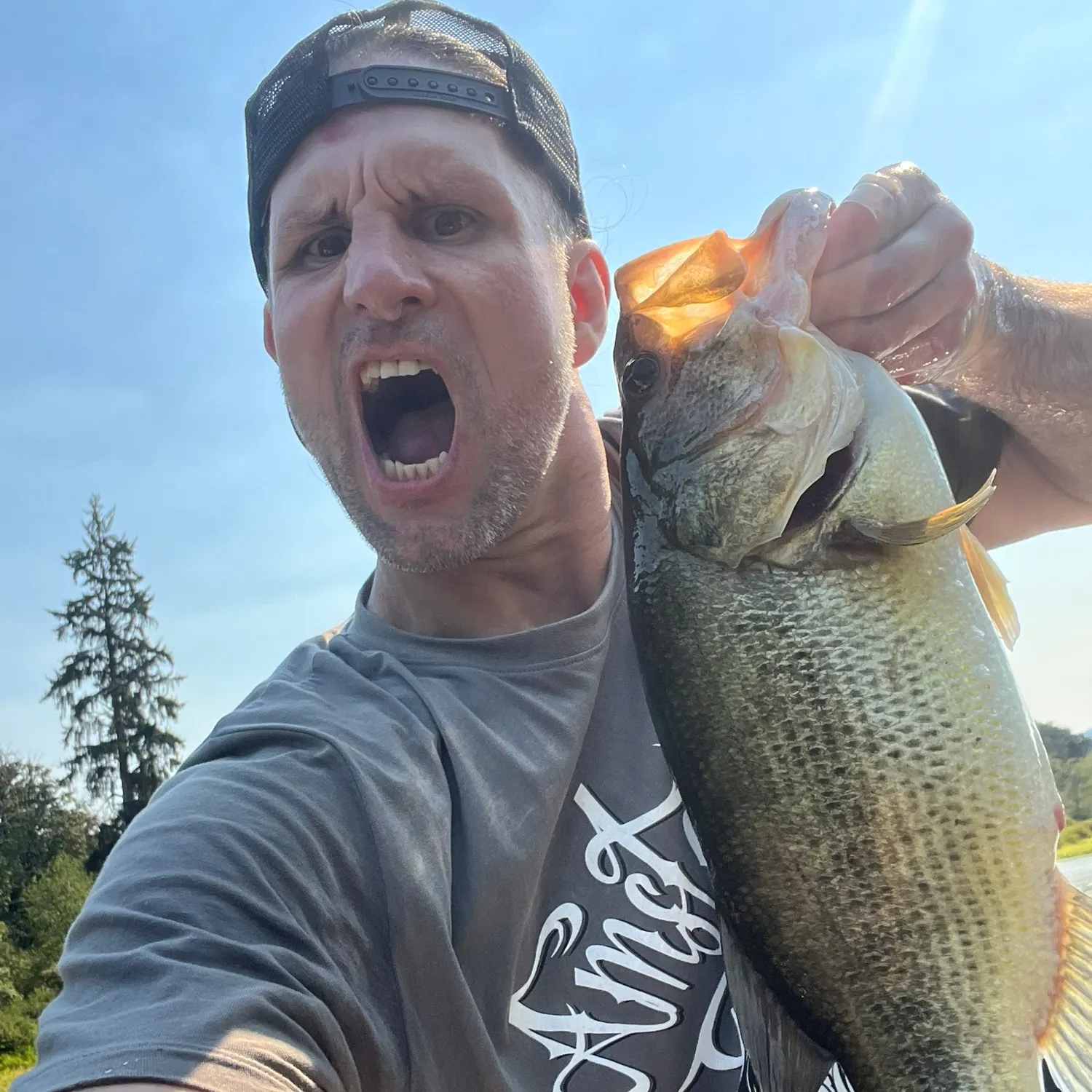 Largemouth bass caught on Fishbrain