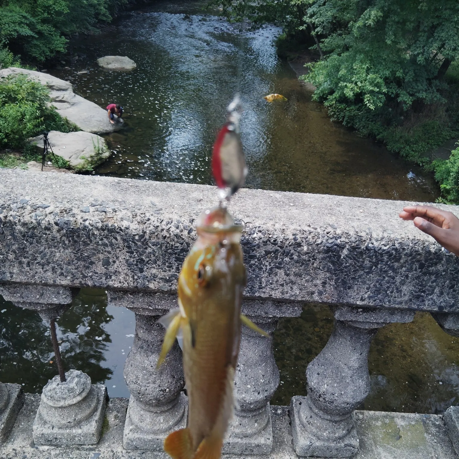 catch