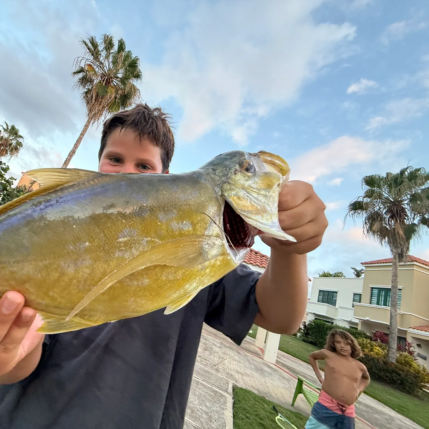 The most recent Yellow jack catches on Fishbrain
