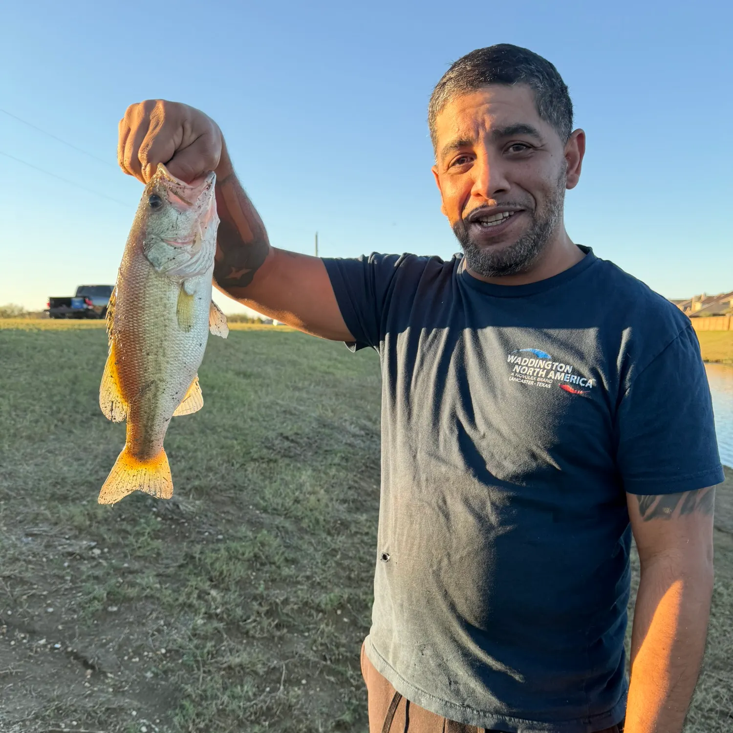 The most recent South American silver croaker catches on Fishbrain