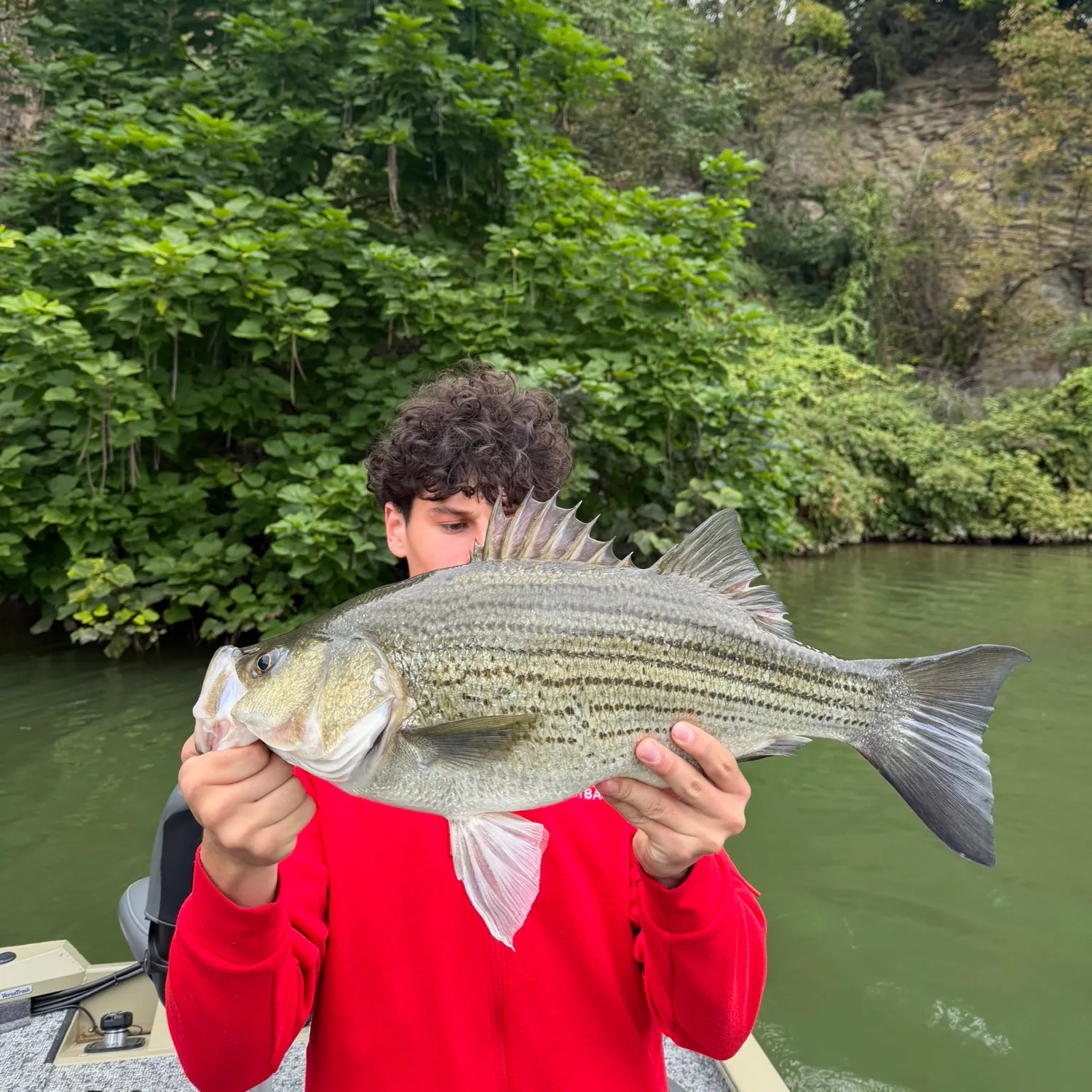 The most recent Wiper catches on Fishbrain