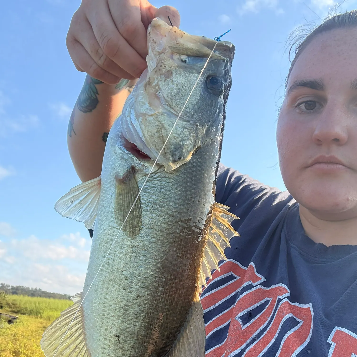 Largemouth bass caught on Fishbrain