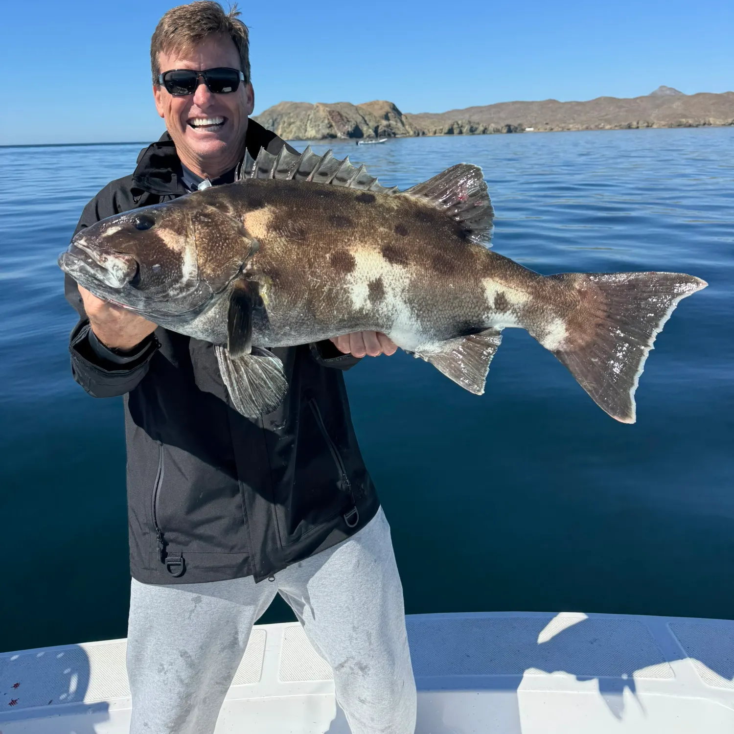 The most popular recent Giant sea bass catch on Fishbrain