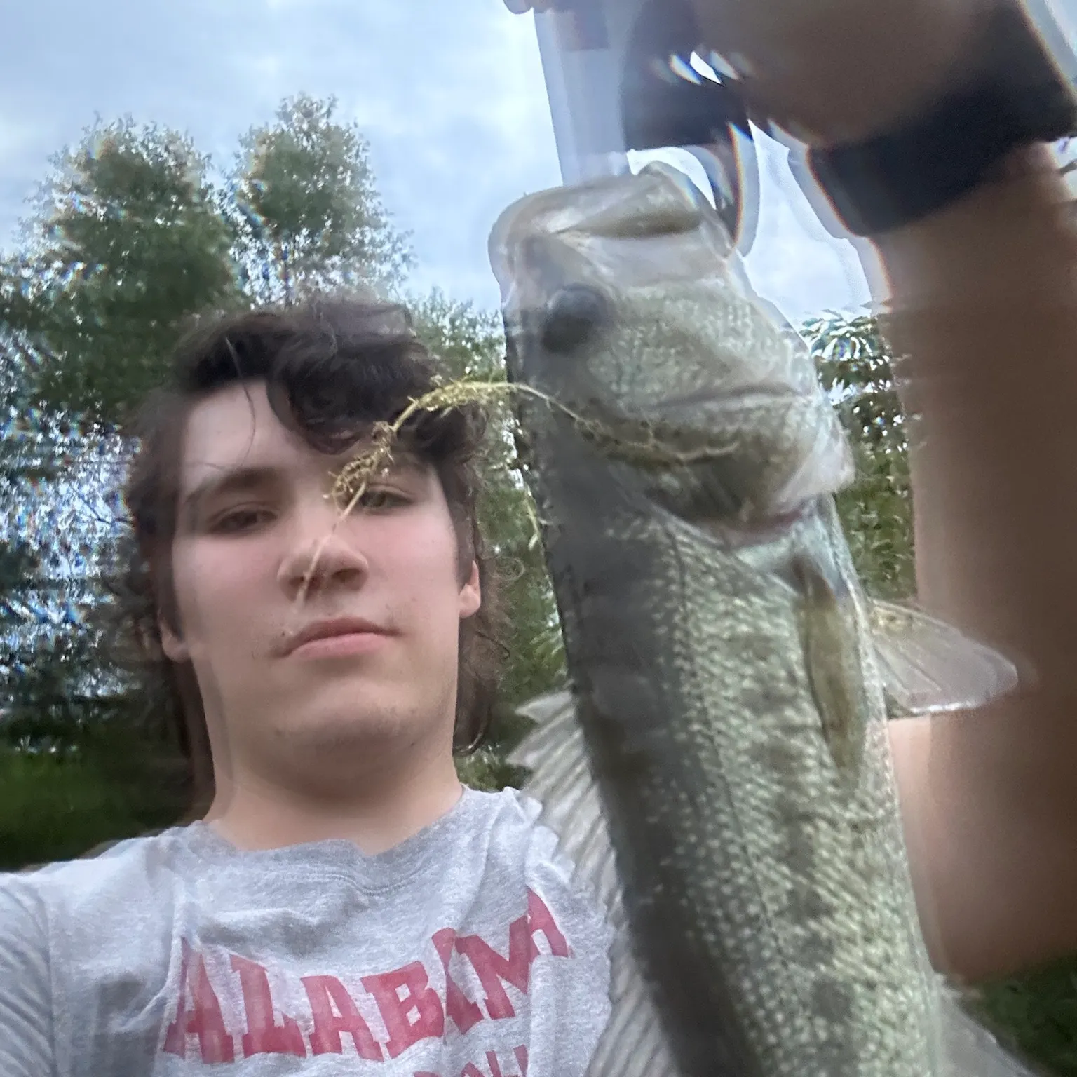 The most recent Smallmouth bass catches on Fishbrain