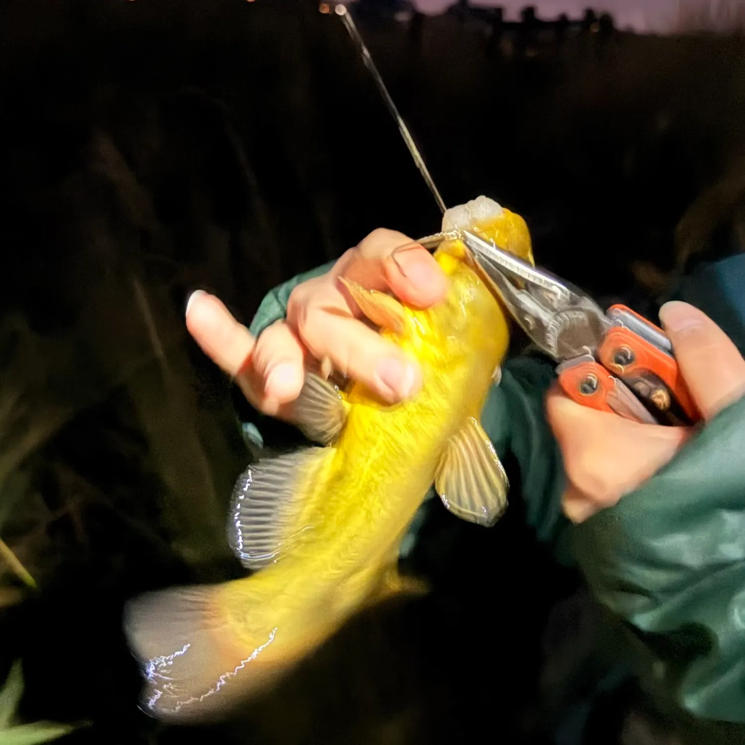 catch