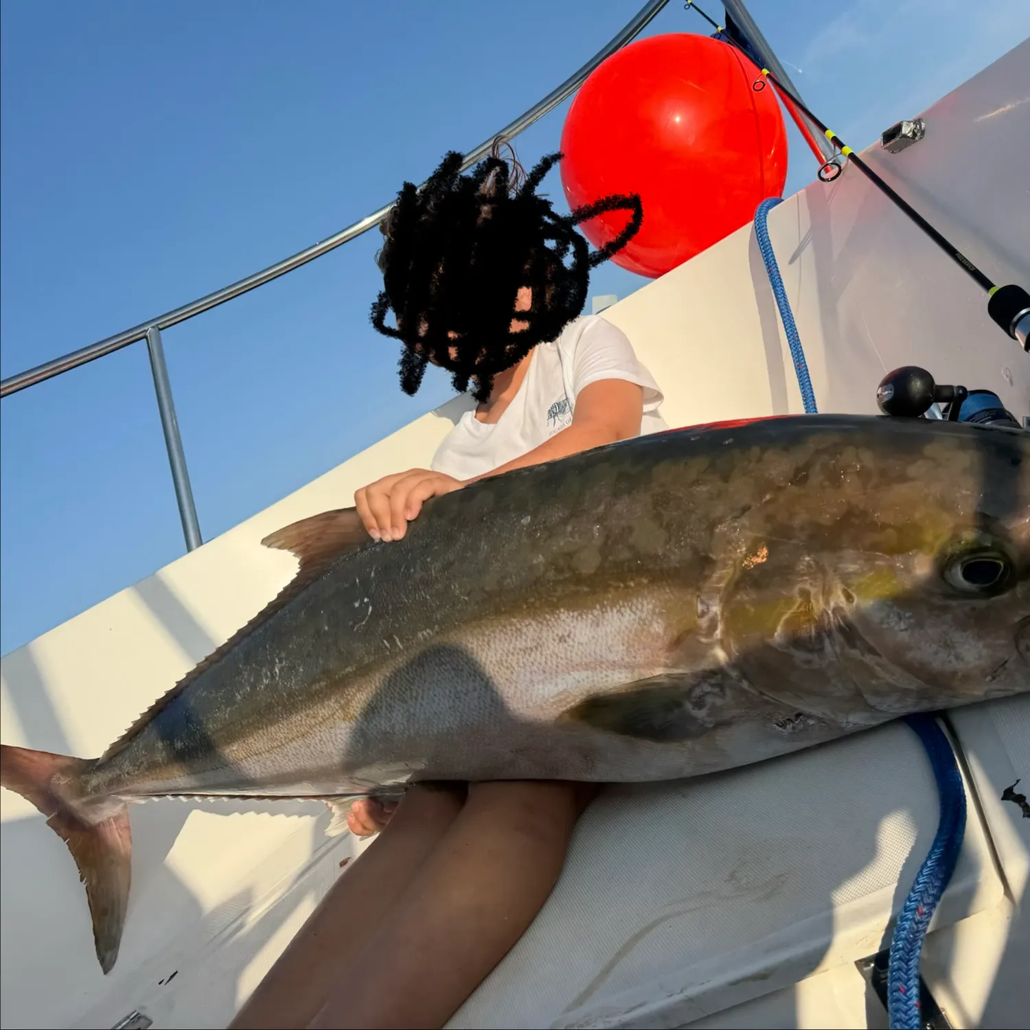 The most recent Greater amberjack catches on Fishbrain