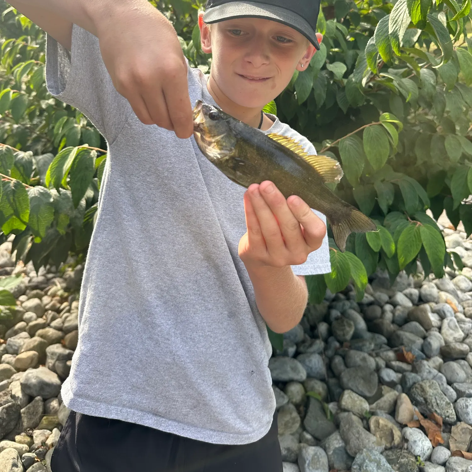 Smallmouth bass caught on Fishbrain