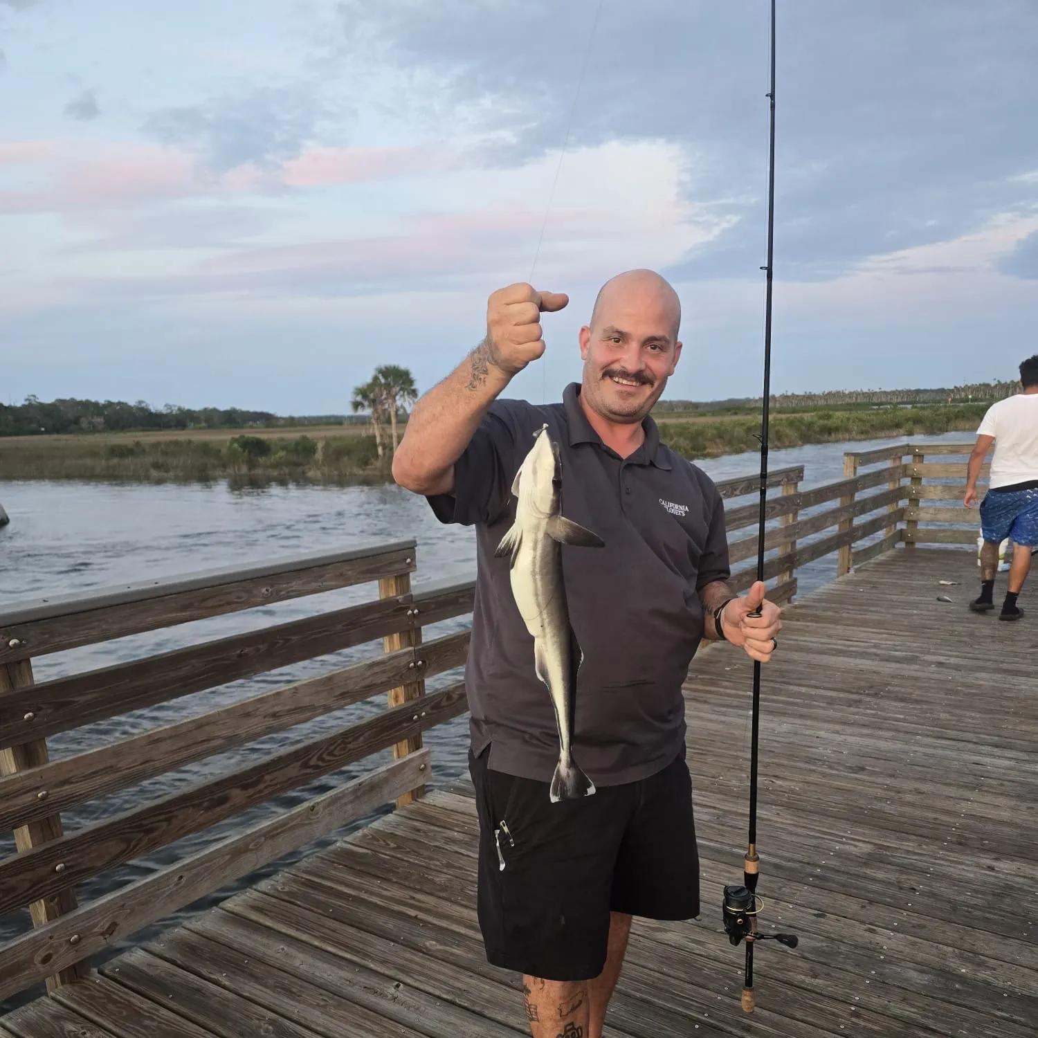 The most recent Live sharksucker catches on Fishbrain