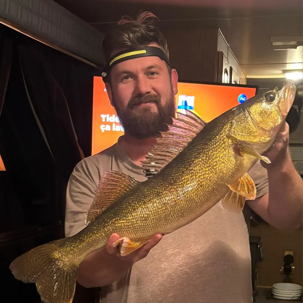 The most recent Saugeye catches on Fishbrain