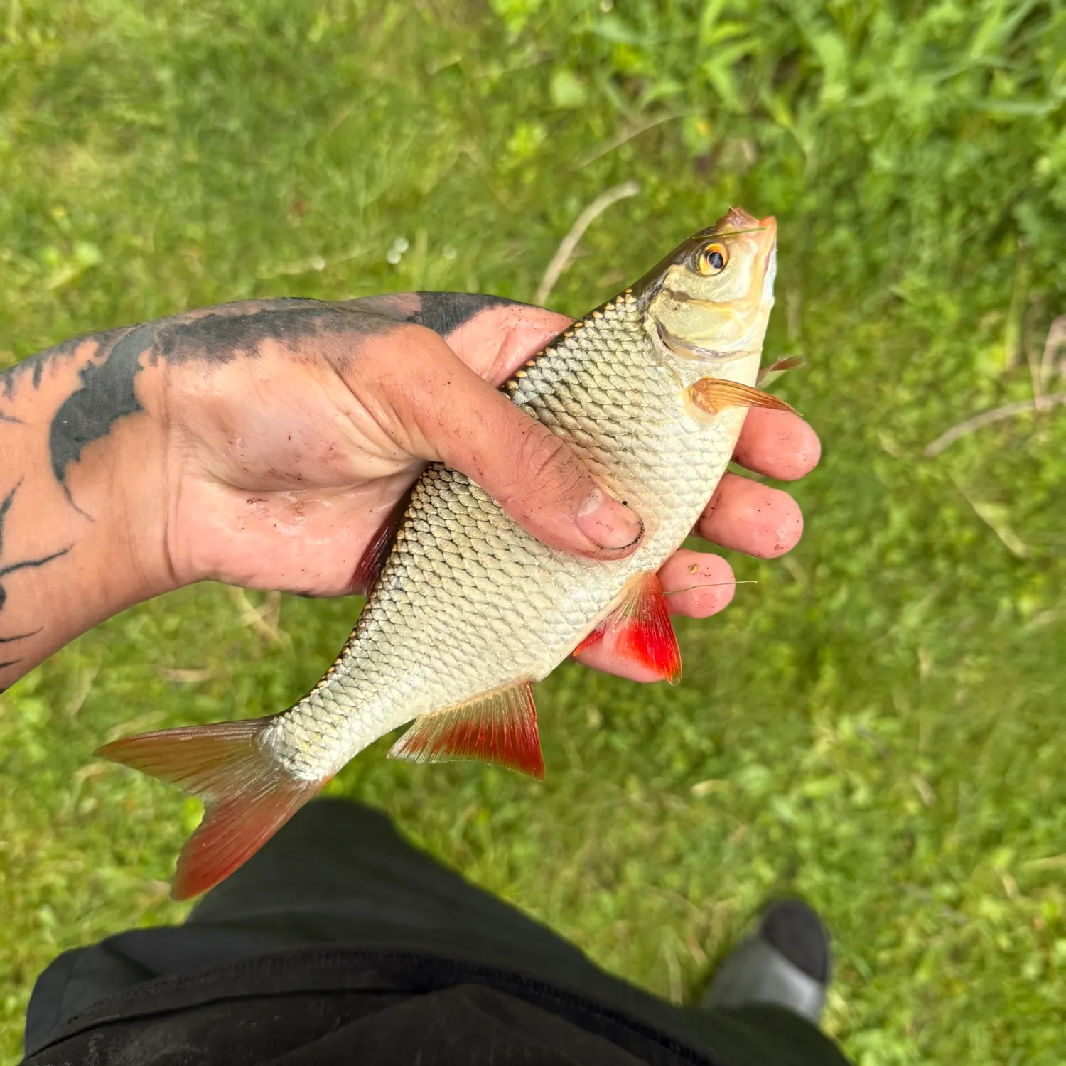 catch