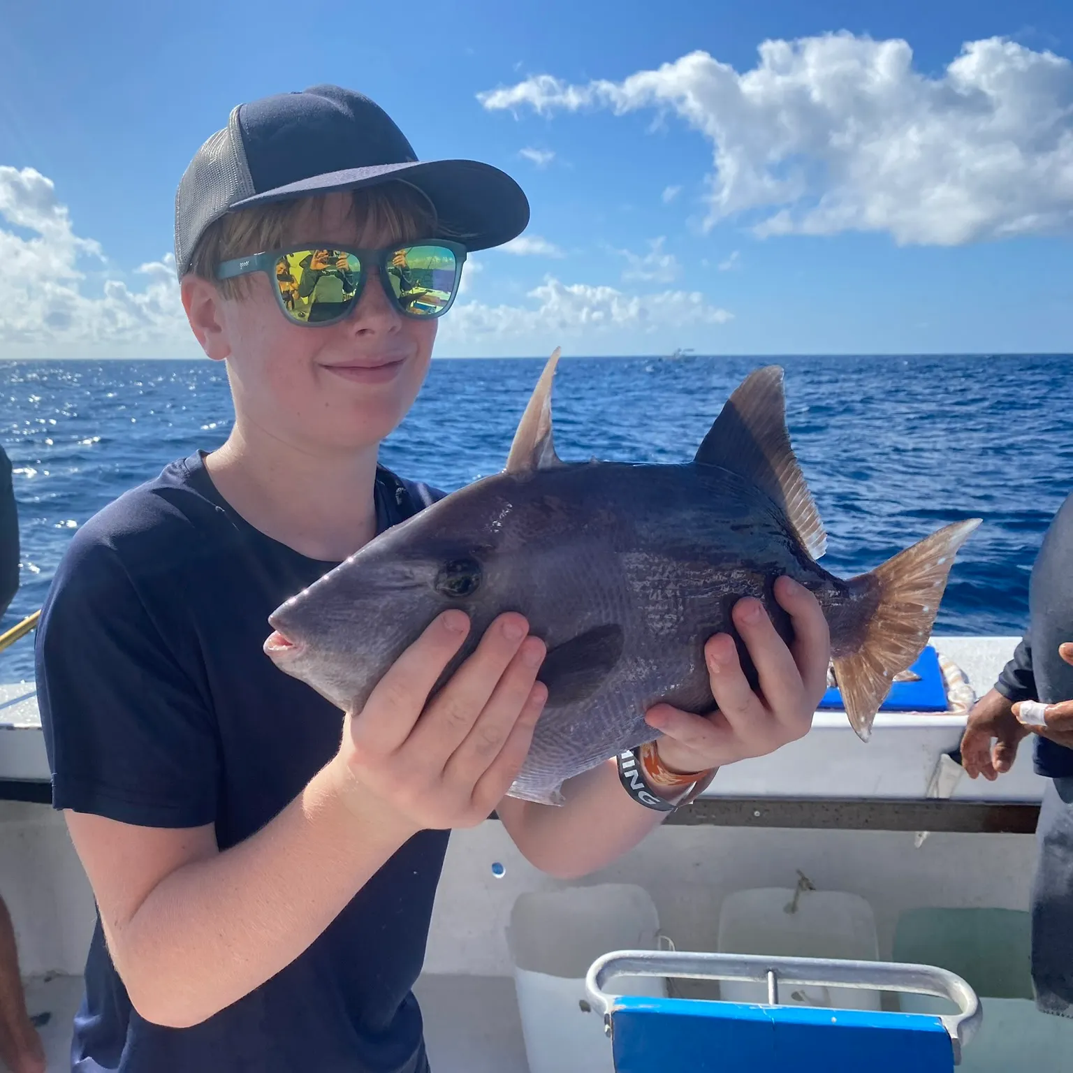 The most recent Grey triggerfish catches on Fishbrain