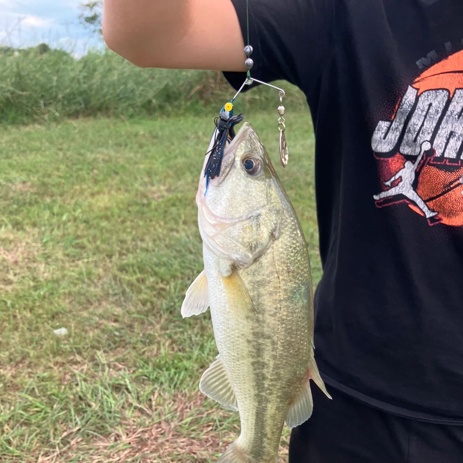 Smallmouth bass caught on Fishbrain