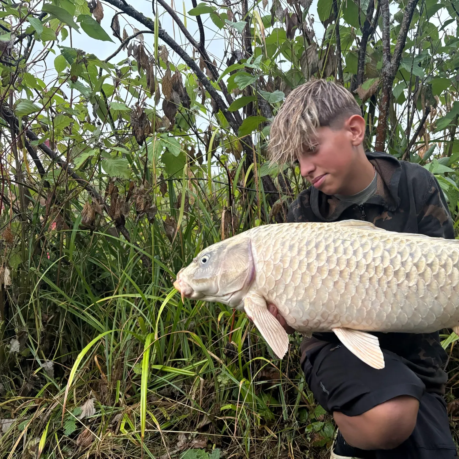The most recent Ghost carp catches on Fishbrain