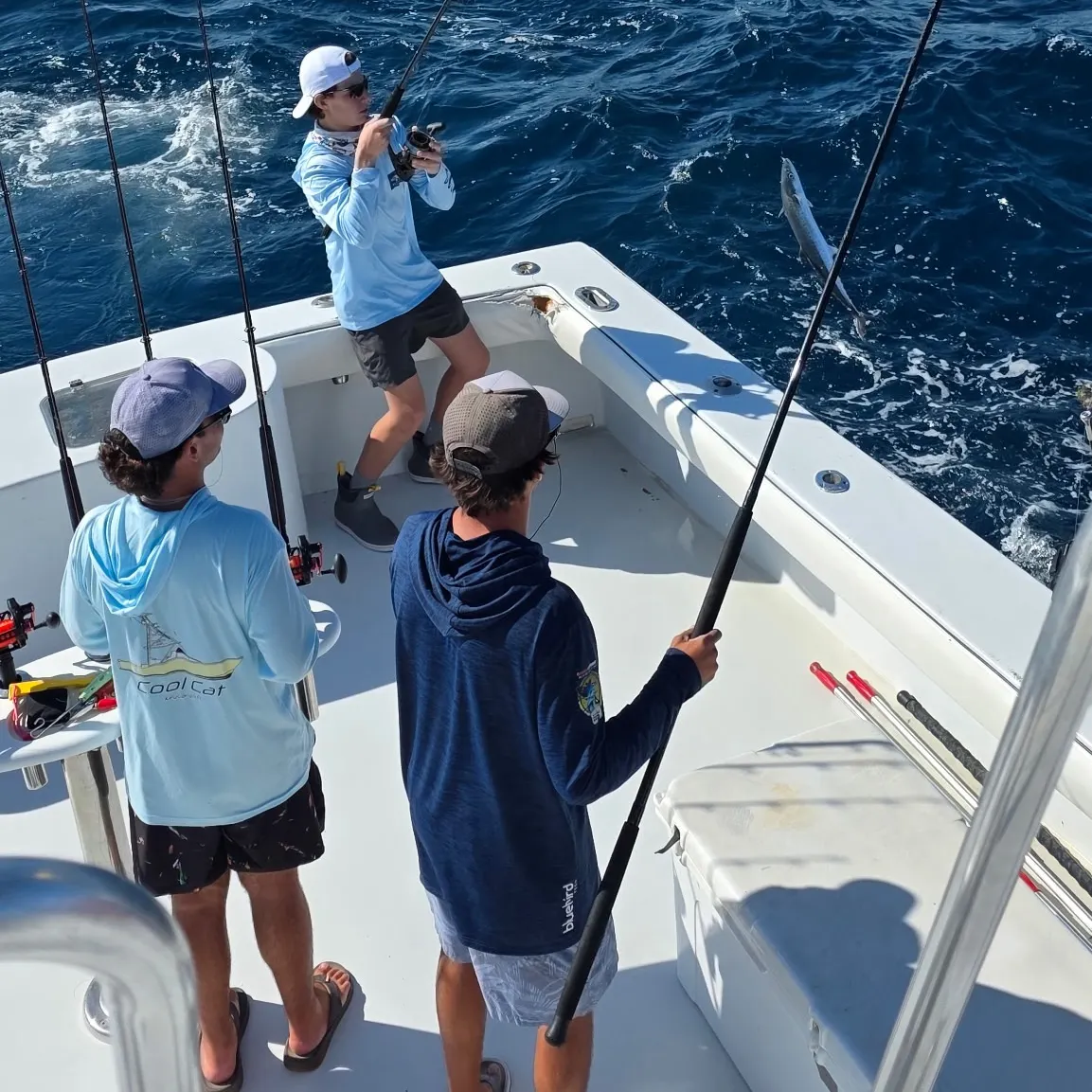 The most recent Cero mackerel catches on Fishbrain