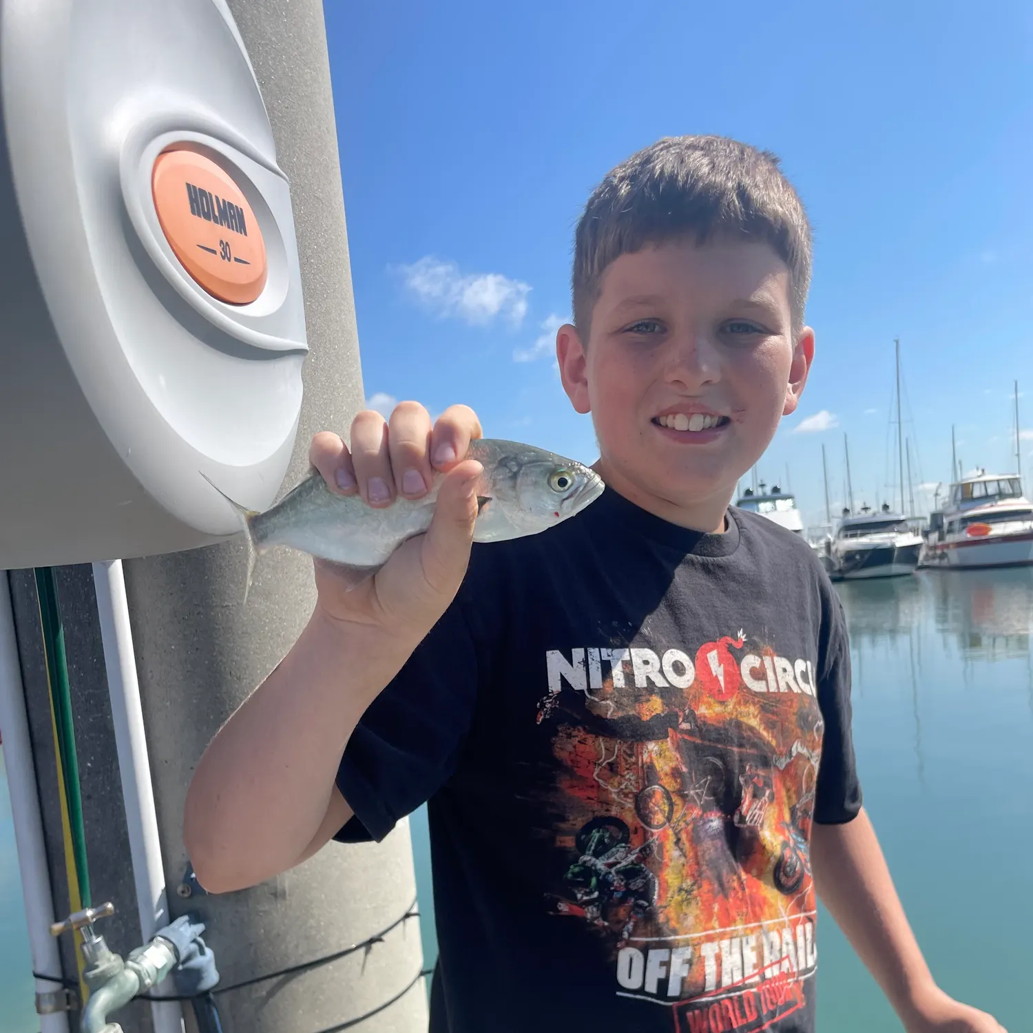 Bluefish caught on Fishbrain