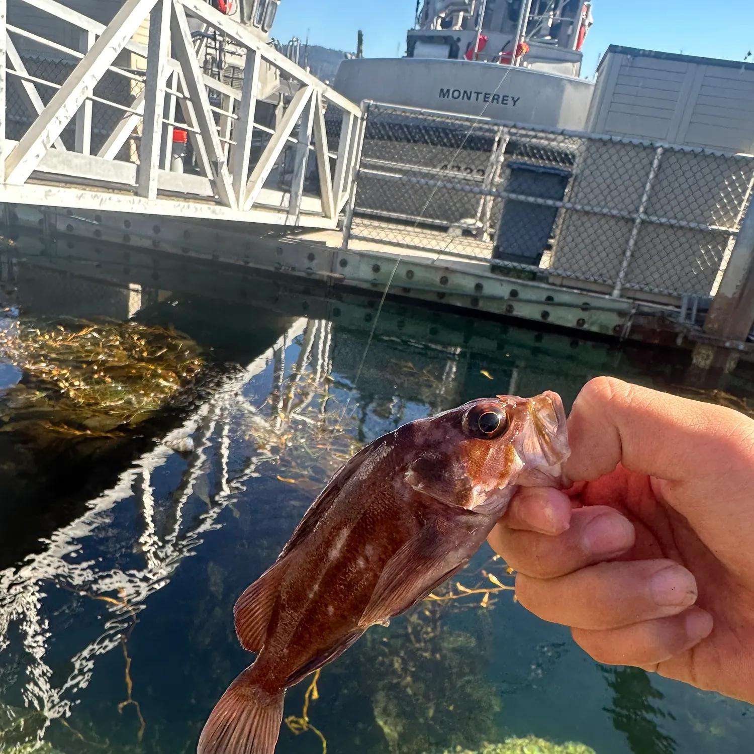 catch