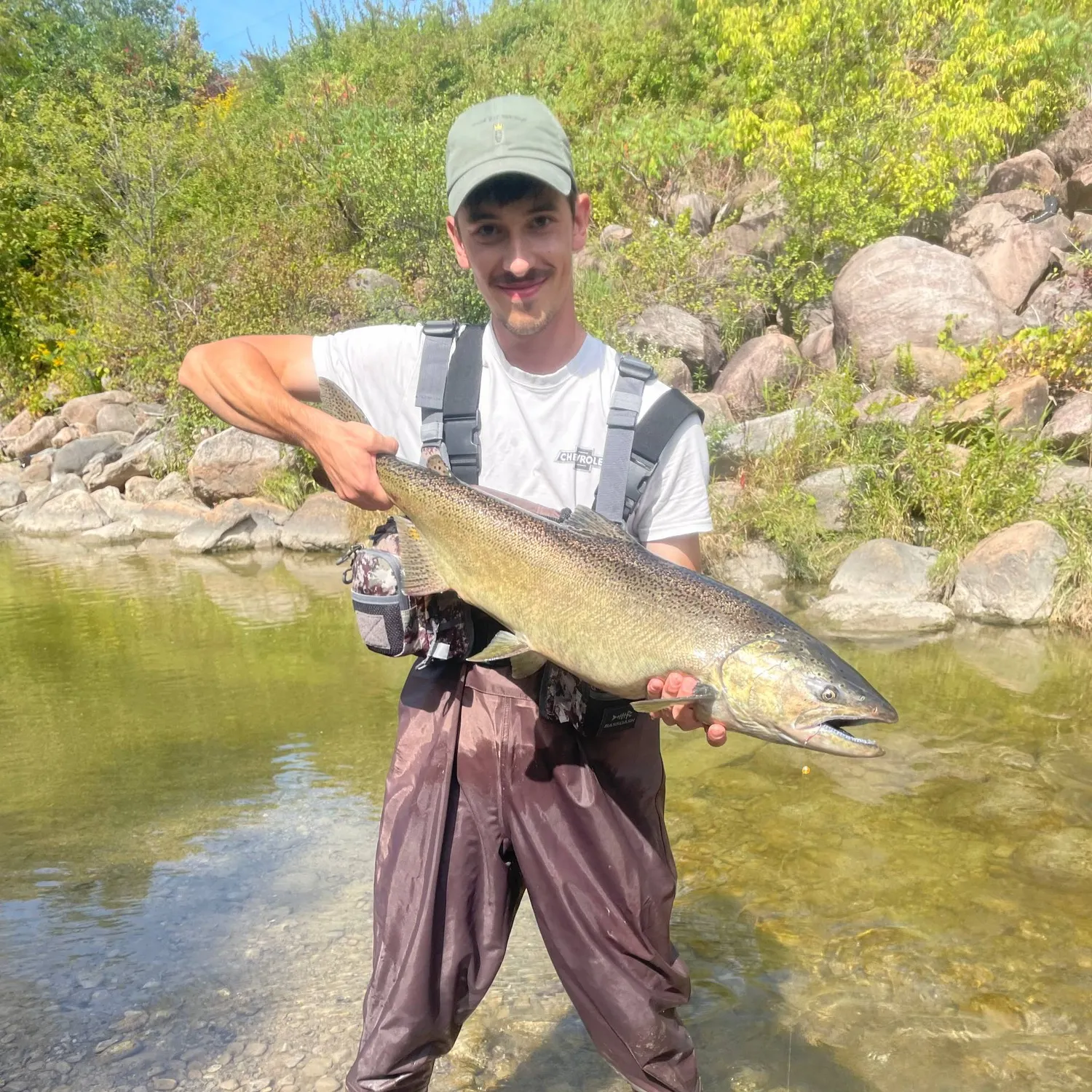 Chinook salmon caught on Fishbrain