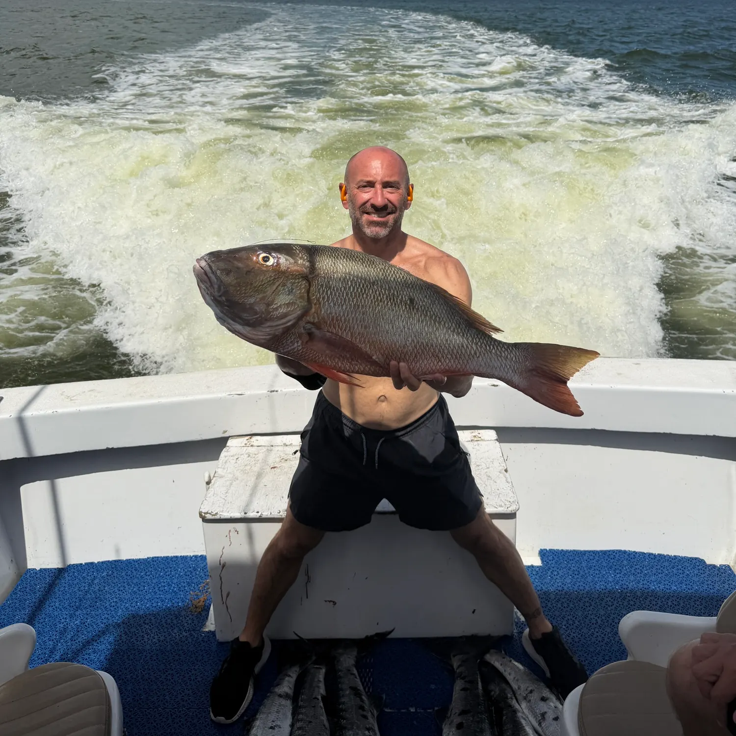 Northern red snapper caught on Fishbrain