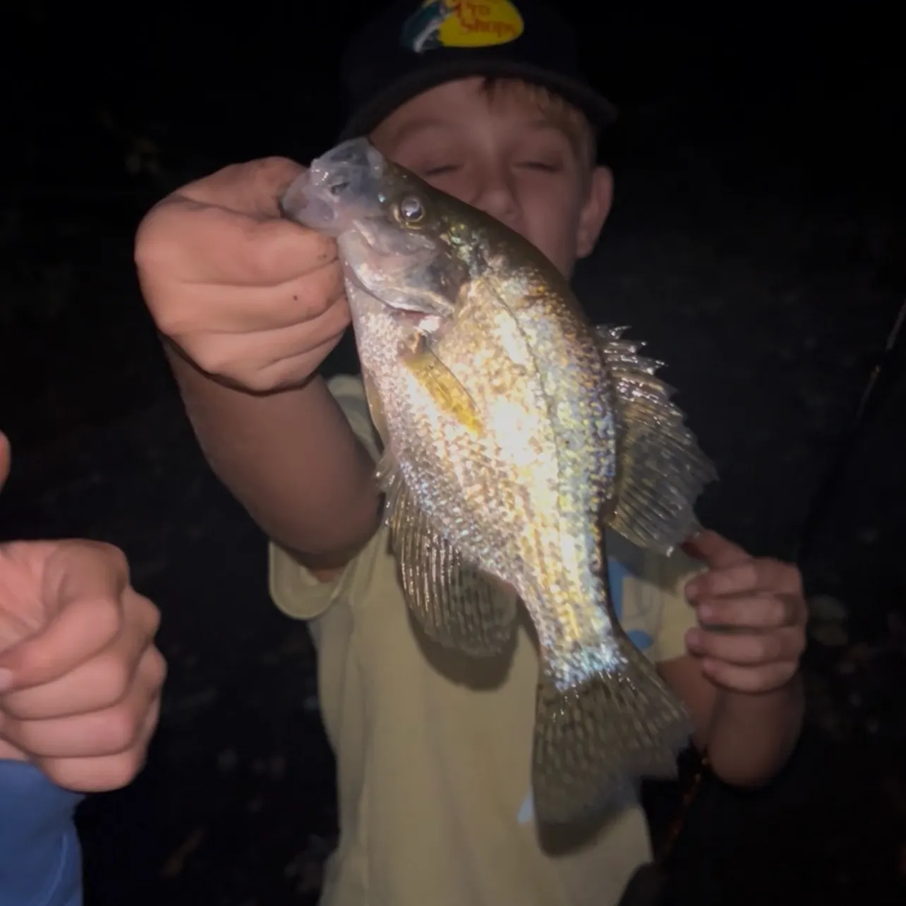 White crappie caught on Fishbrain