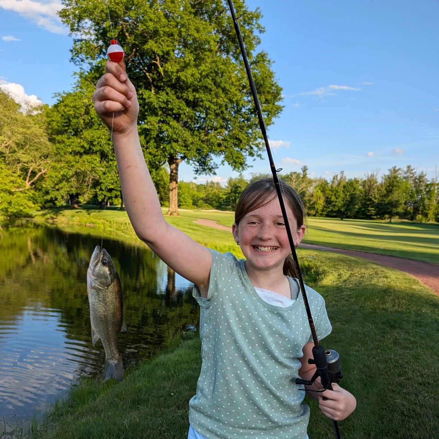 The most recent Goldsinny wrasse catches on Fishbrain