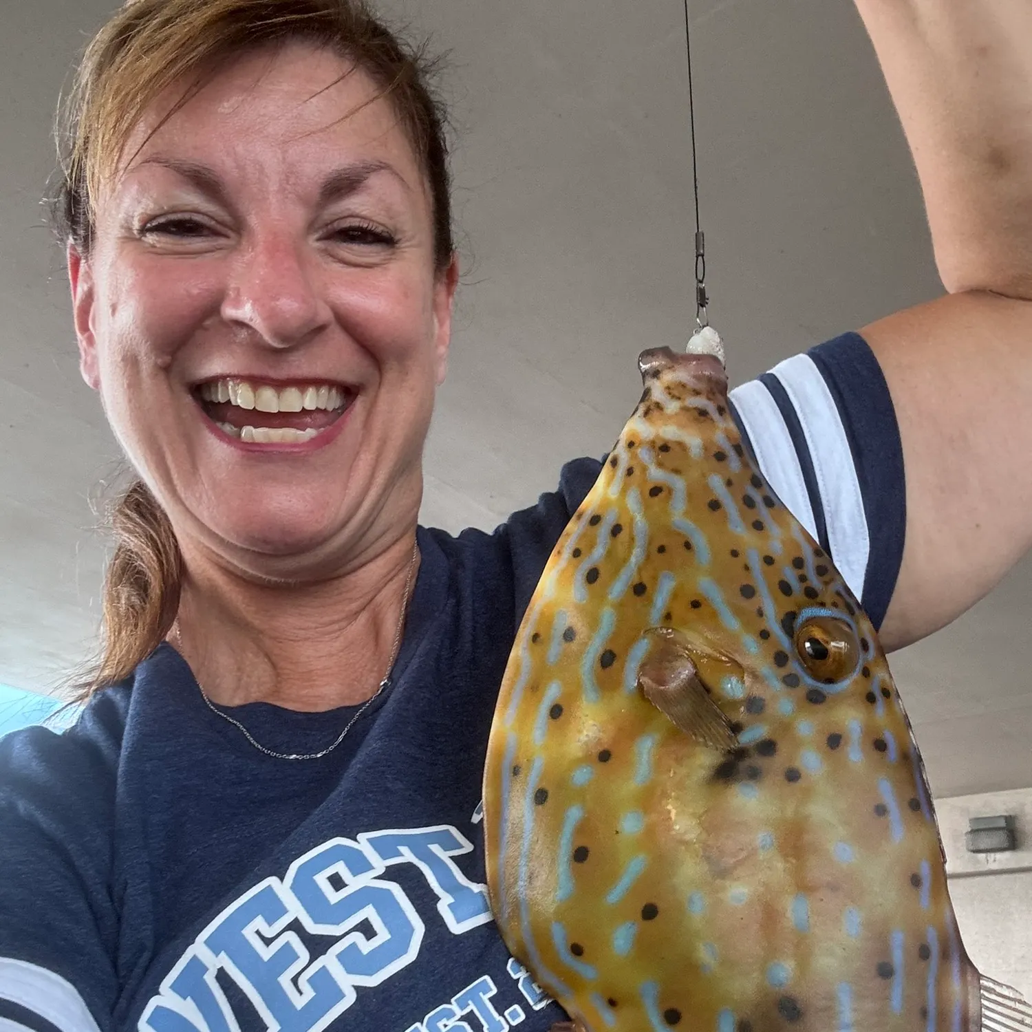 The most recent Scrawled filefish catches on Fishbrain