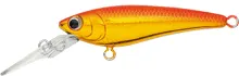 SC Shiner
