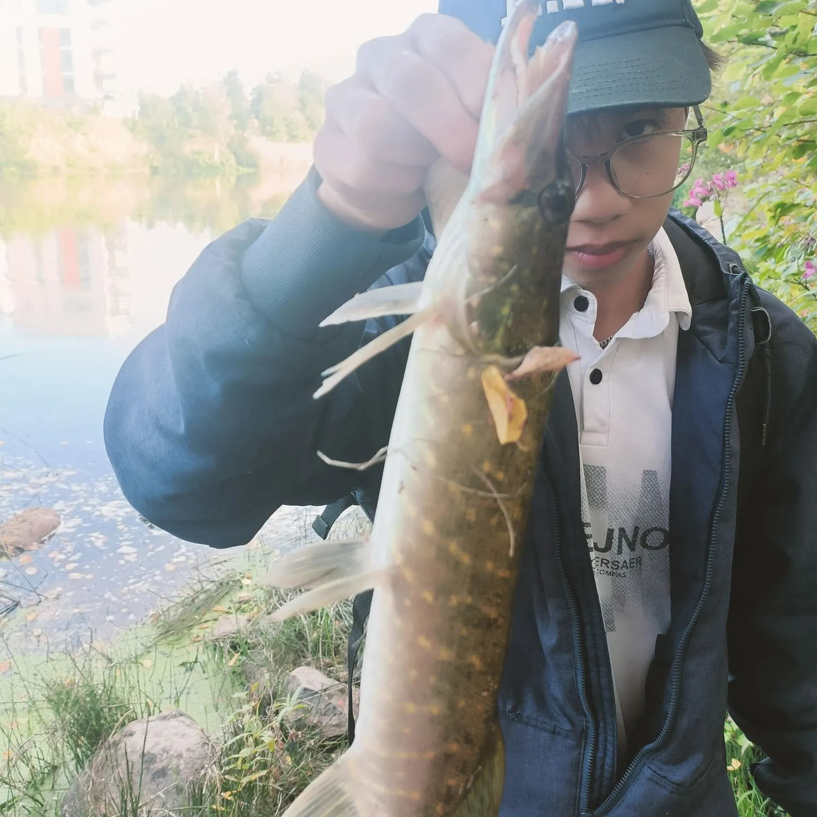 Northern pike caught on Fishbrain