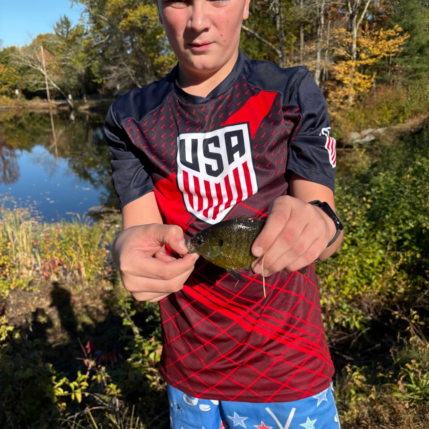 Bluegill caught on Fishbrain