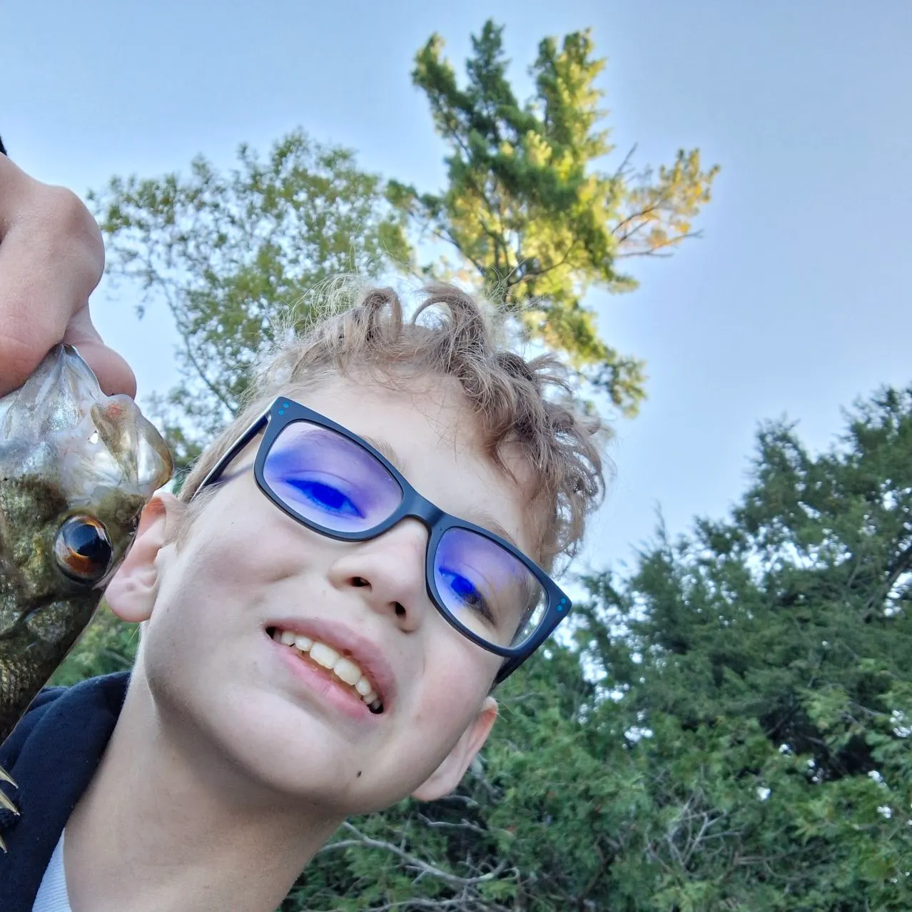 Rock bass caught on Fishbrain