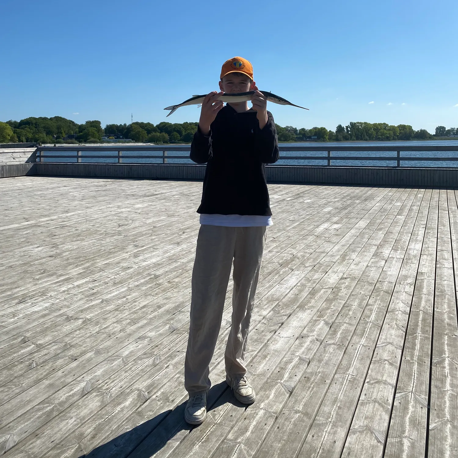 The most recent European garfish catches on Fishbrain
